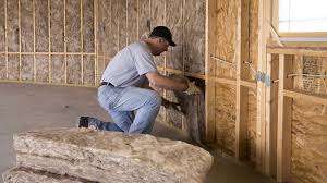 Best Insulation for New Construction  in Andrews, SC