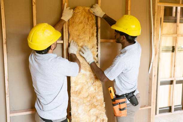 Best Basement Insulation  in Andrews, SC